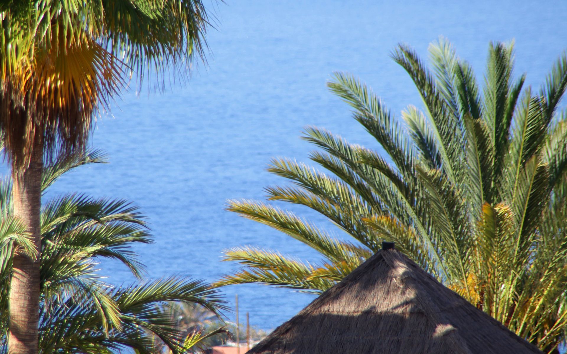 מלון Bahia Principe Sunlight Costa Adeje מראה חיצוני תמונה